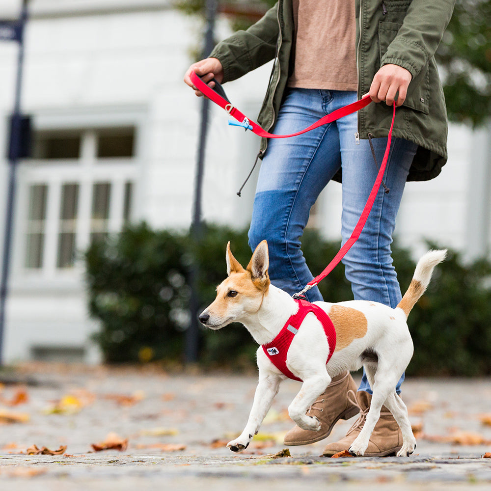 Basic Leine - Nylon rot