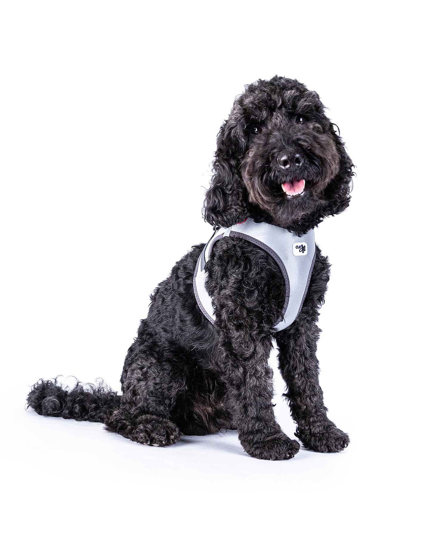 Glow Curli Clasp Vest Harness - Reflective Grau