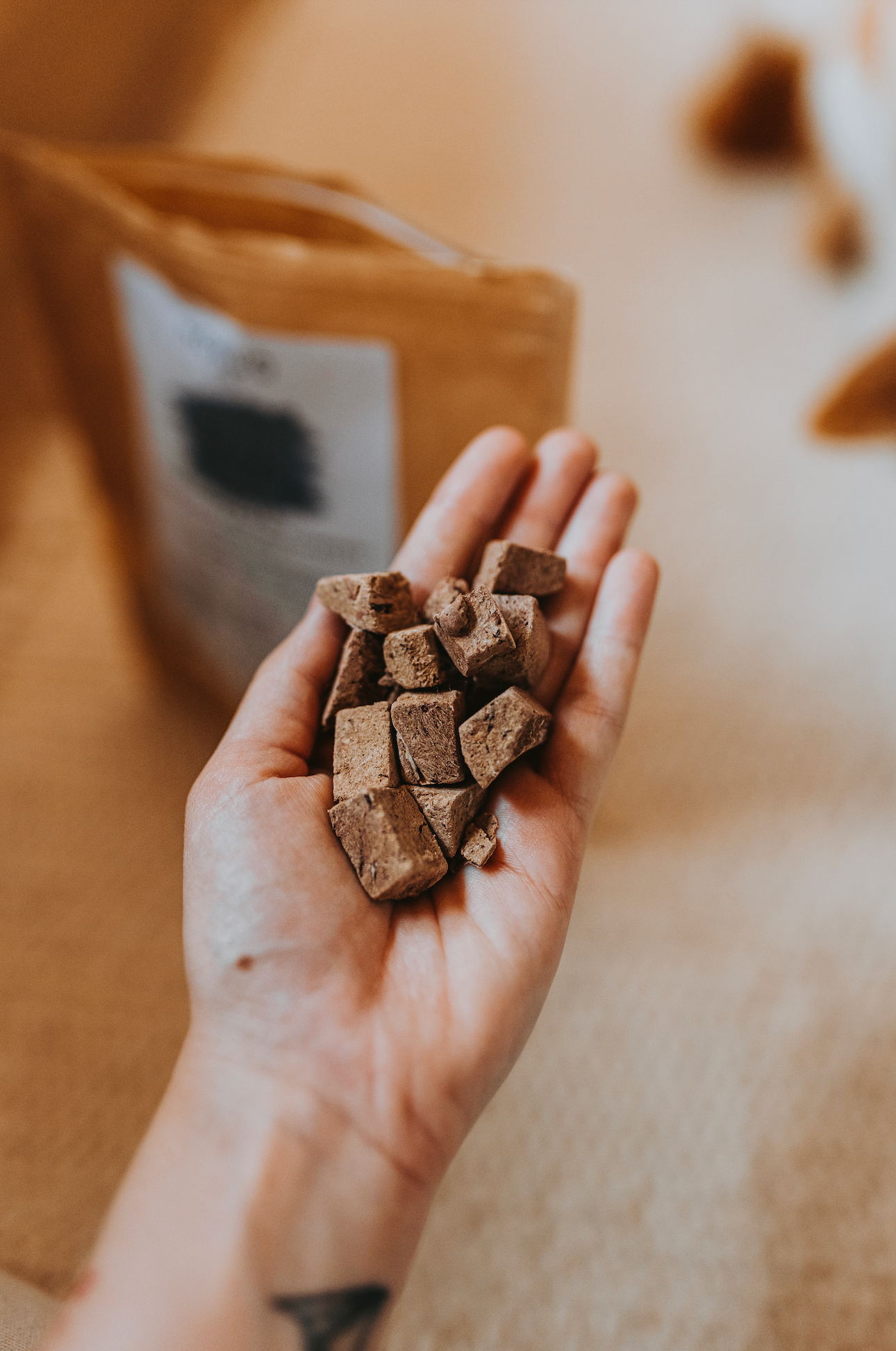 Adventskalender für Hunde & Katzen - Freeze Dried