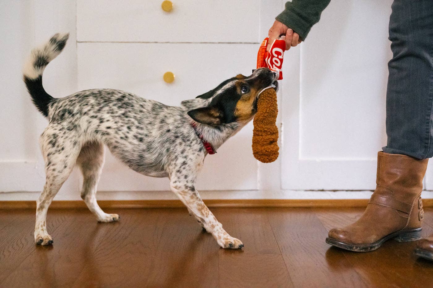 Plüsch Good Boy Cola