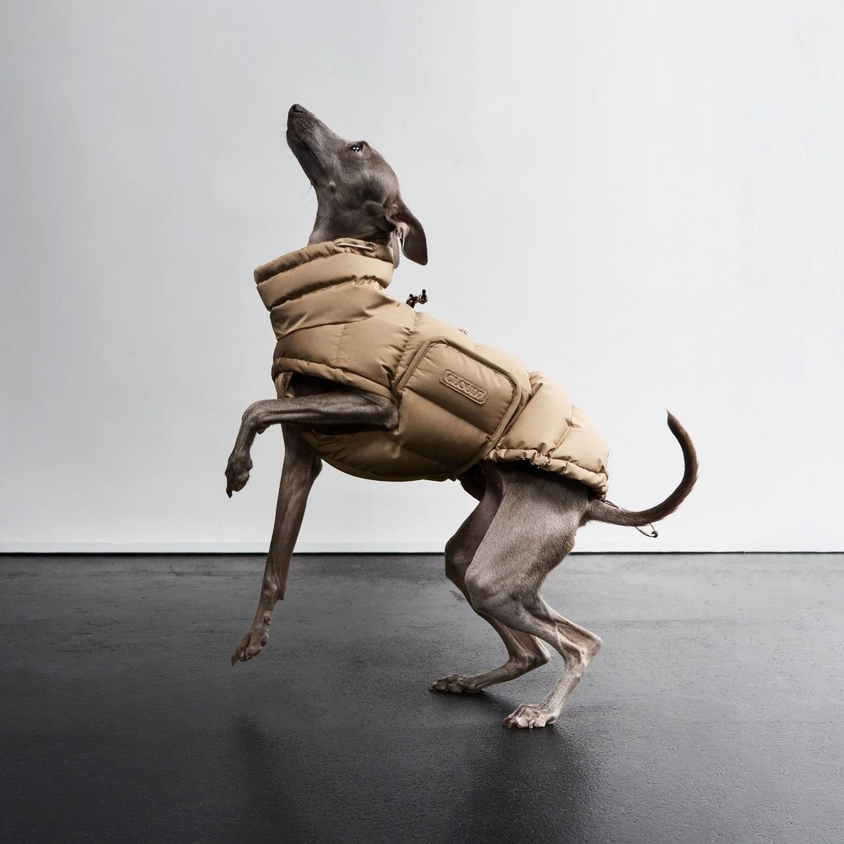 Dog coat Alaska Sandy Brown