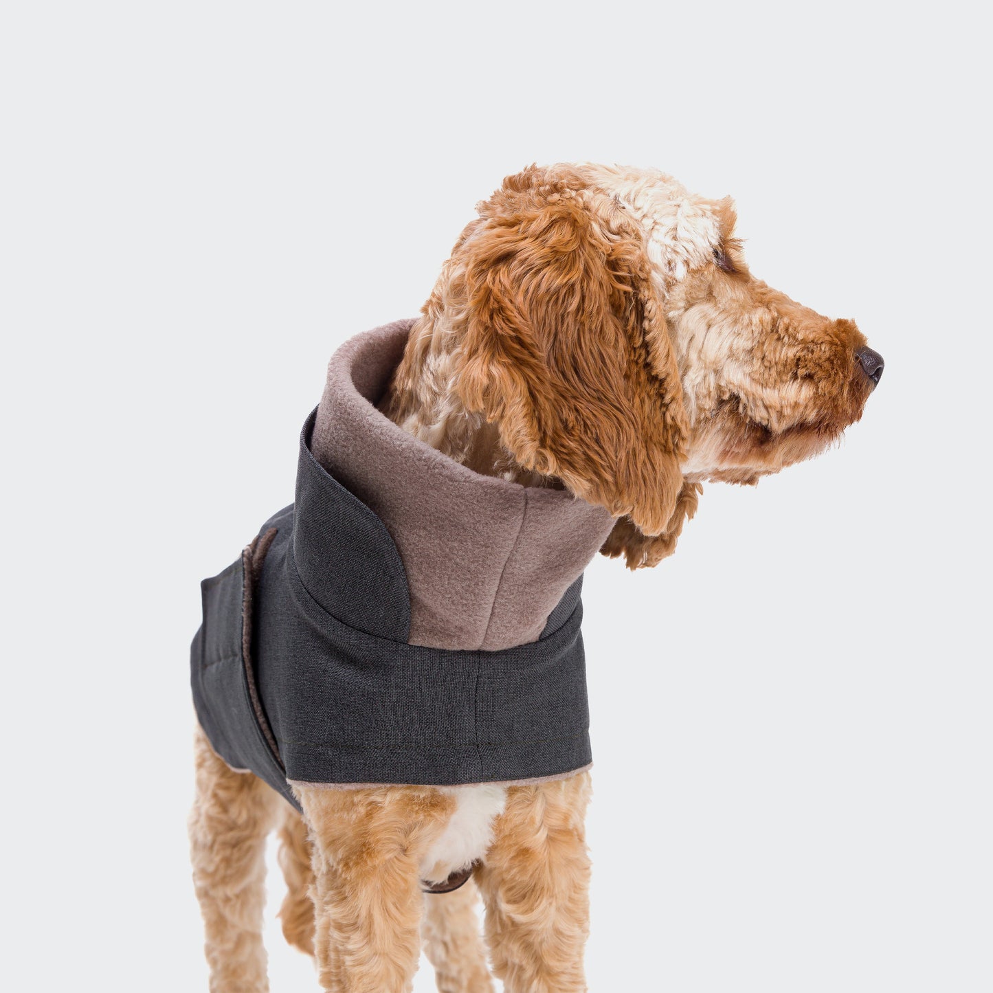 Coat Brooklyn Graphite