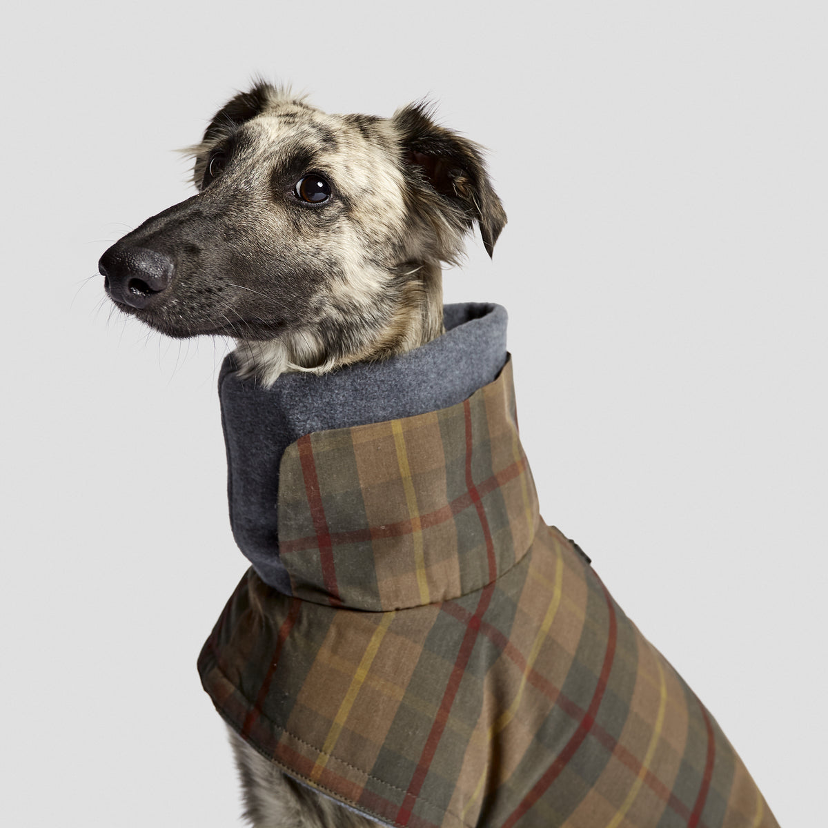 Mantel Brooklyn Waxed Tartan