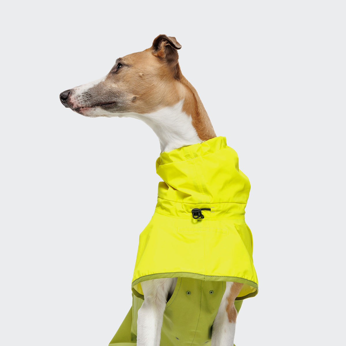 Hunderegenmantel Aktiv Neon Green/Light Olive