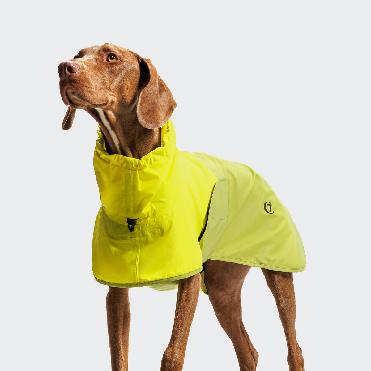 Hunderegenmantel Aktiv Neon Green/Light Olive