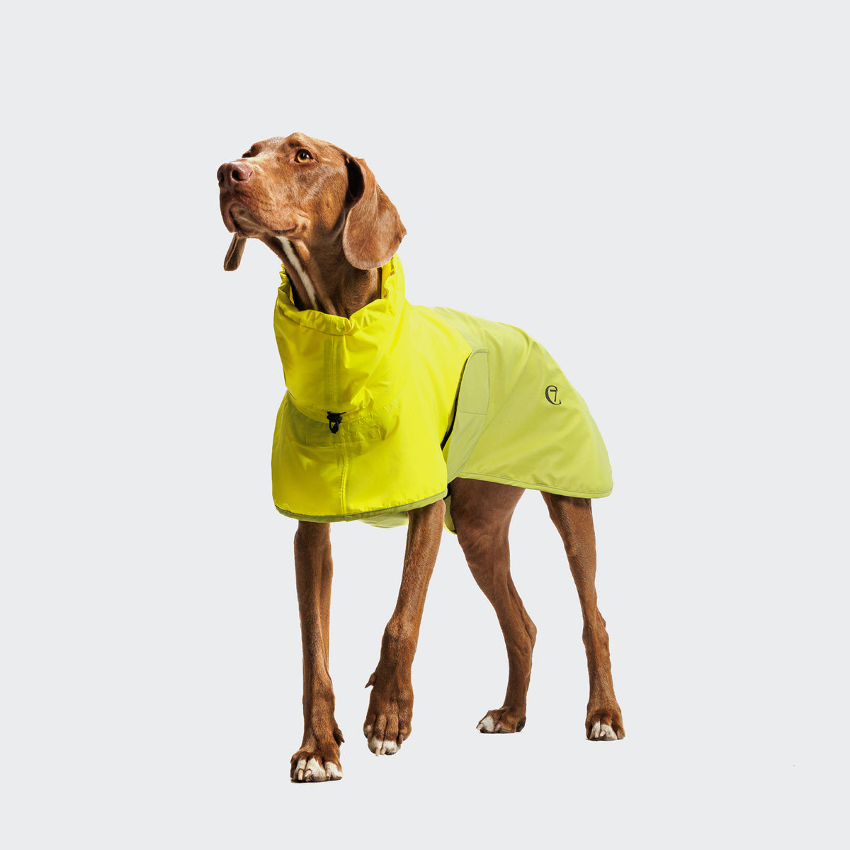 Hunderegenmantel Aktiv Neon Green/Light Olive
