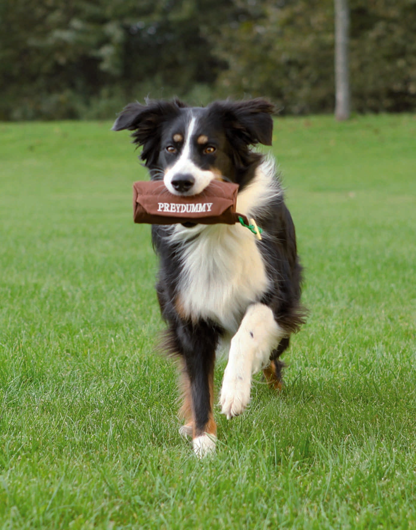 Dog Activity Preydummy - braun