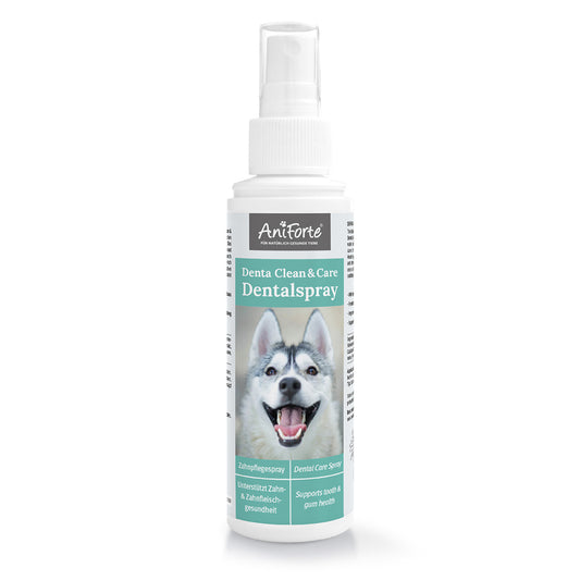 Dentalspray für Hunde - Denta Clean & Care
