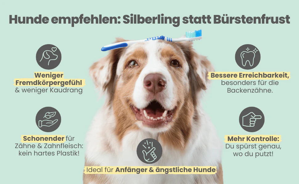 Silberling: Antibakterieller Zahnpflege-Fingerling für Hunde