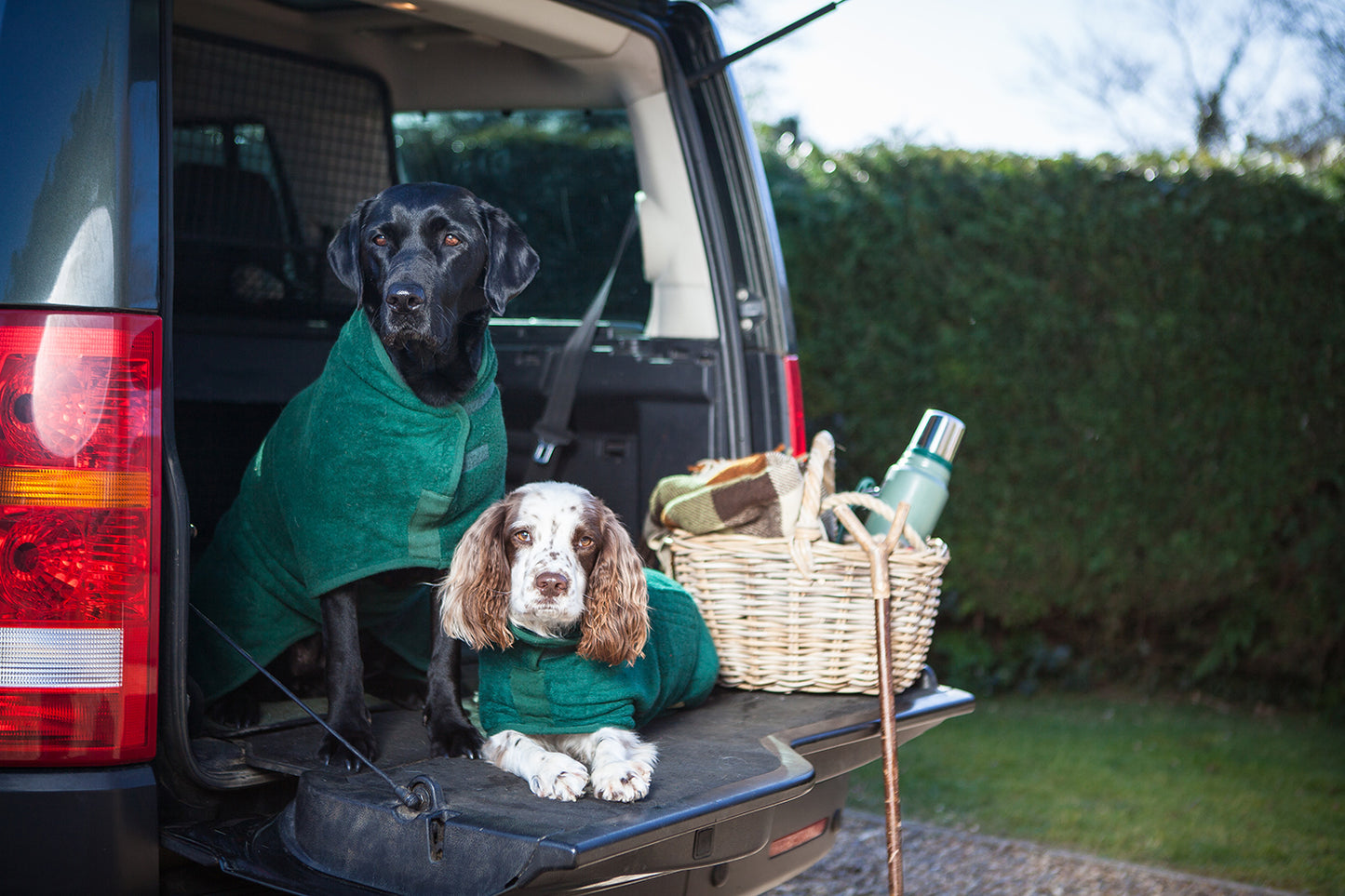 Hunde-Bademantel Bottle Green