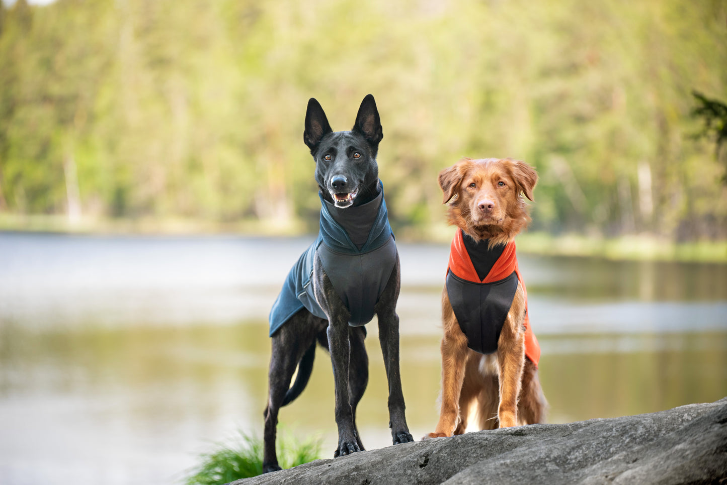 Jumppa Pomppa Midnight