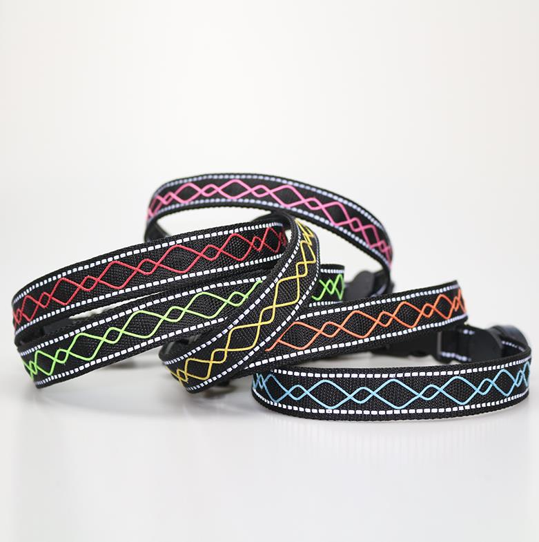 Leuchthalsband Beauty