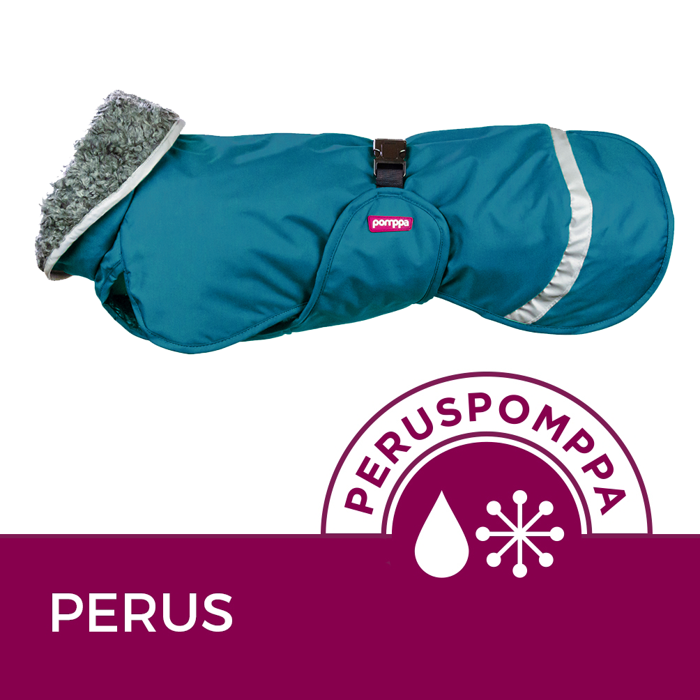 Dog Sweater 'Perus Pomppa' - Petrol