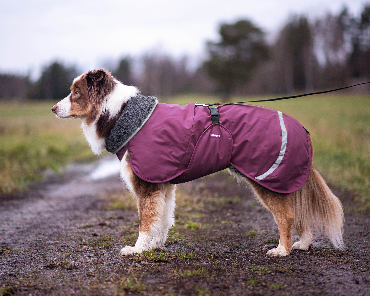 Dog Sweater 'Perus Pomppa' - Graphite