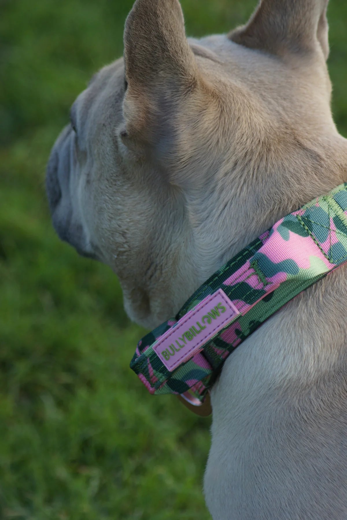 Lighter Combat® Halsband mit Griff - Pink Camouflage