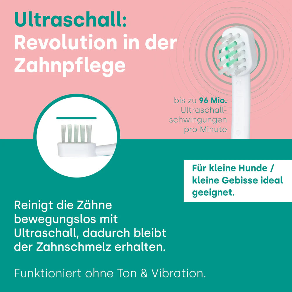 A1-S2 Aufsteckbürsten Klein für Ultraschall-Zahnbürste