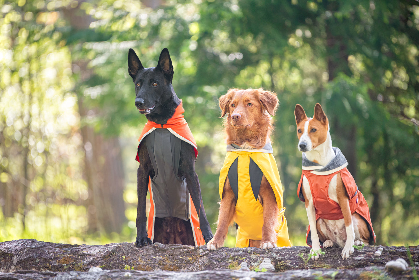 Sportti Pomppa Habanero