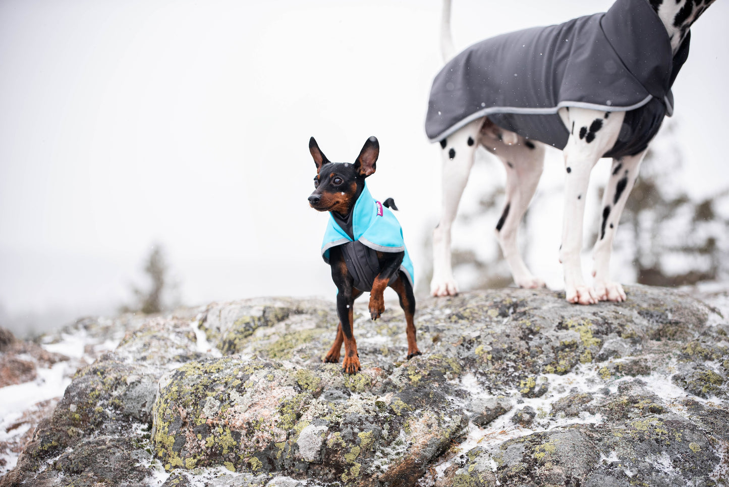 Sportti Pomppa Graphite