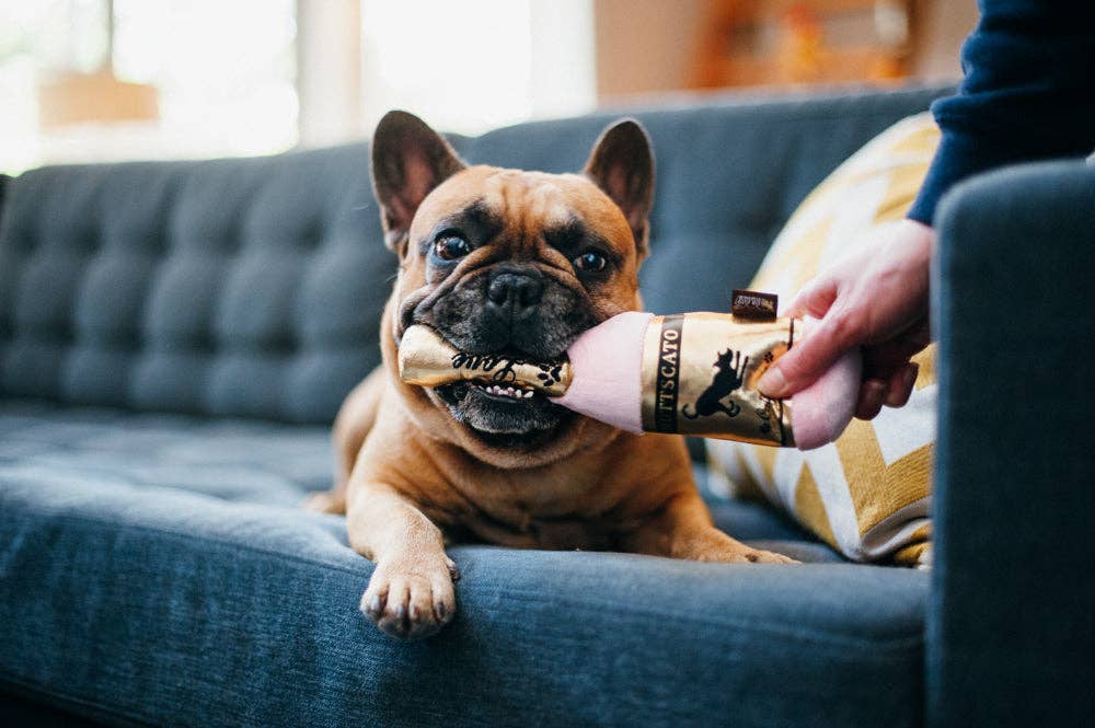 Hundespielzeug Barking Bubbly