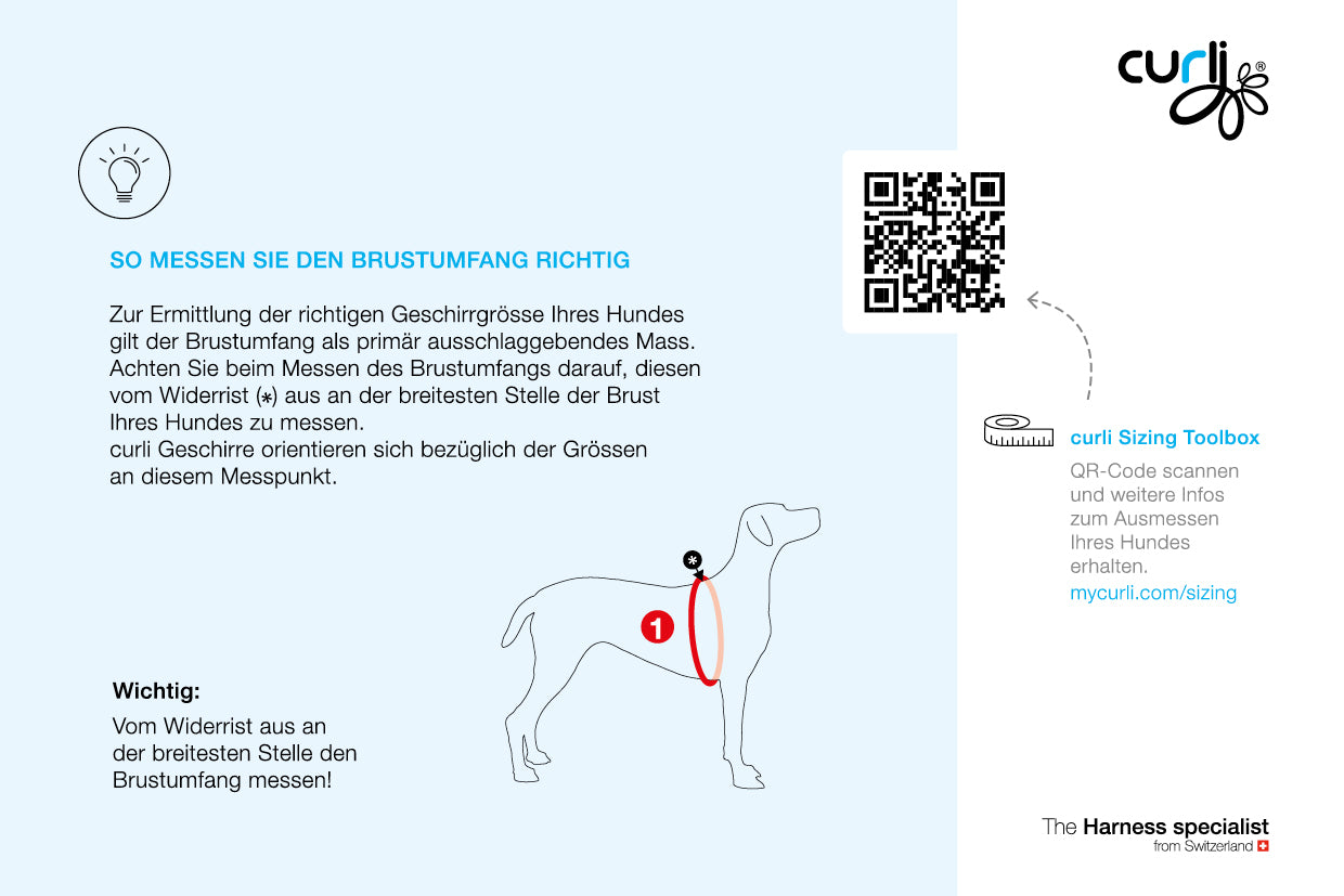 Belka-Geschirr Air Mesh Sonderkollektion 2026 - Semi Circle Blue