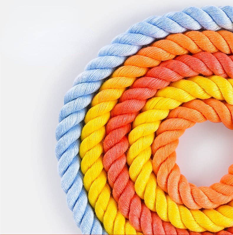 Loofie Hands-Free Leine – Rainbow