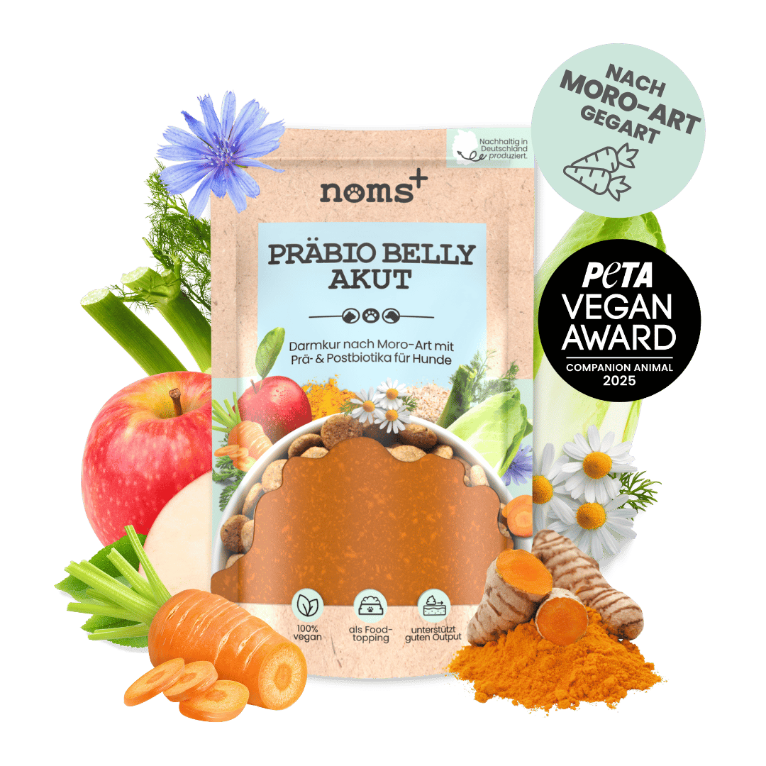Präbio Belly Akut: pflanzenbasierte Darmkur für Hunde nach Moro-Art