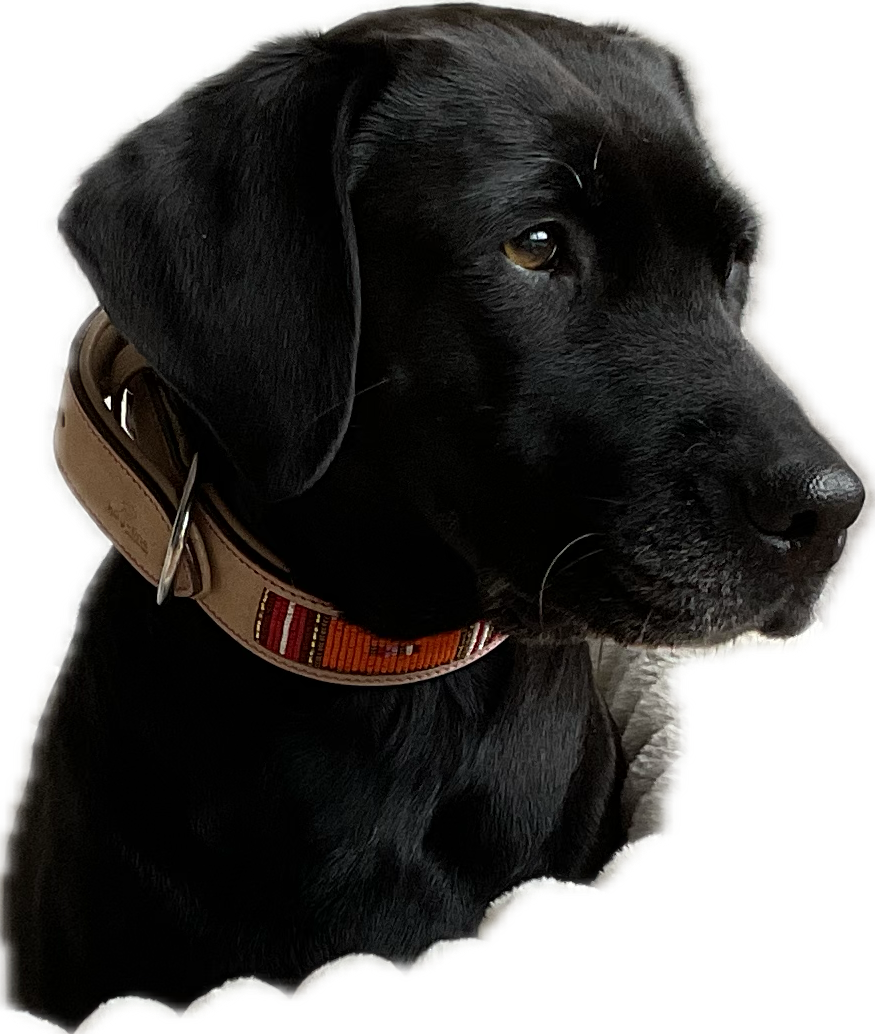 Lederhalsband Pink Massai