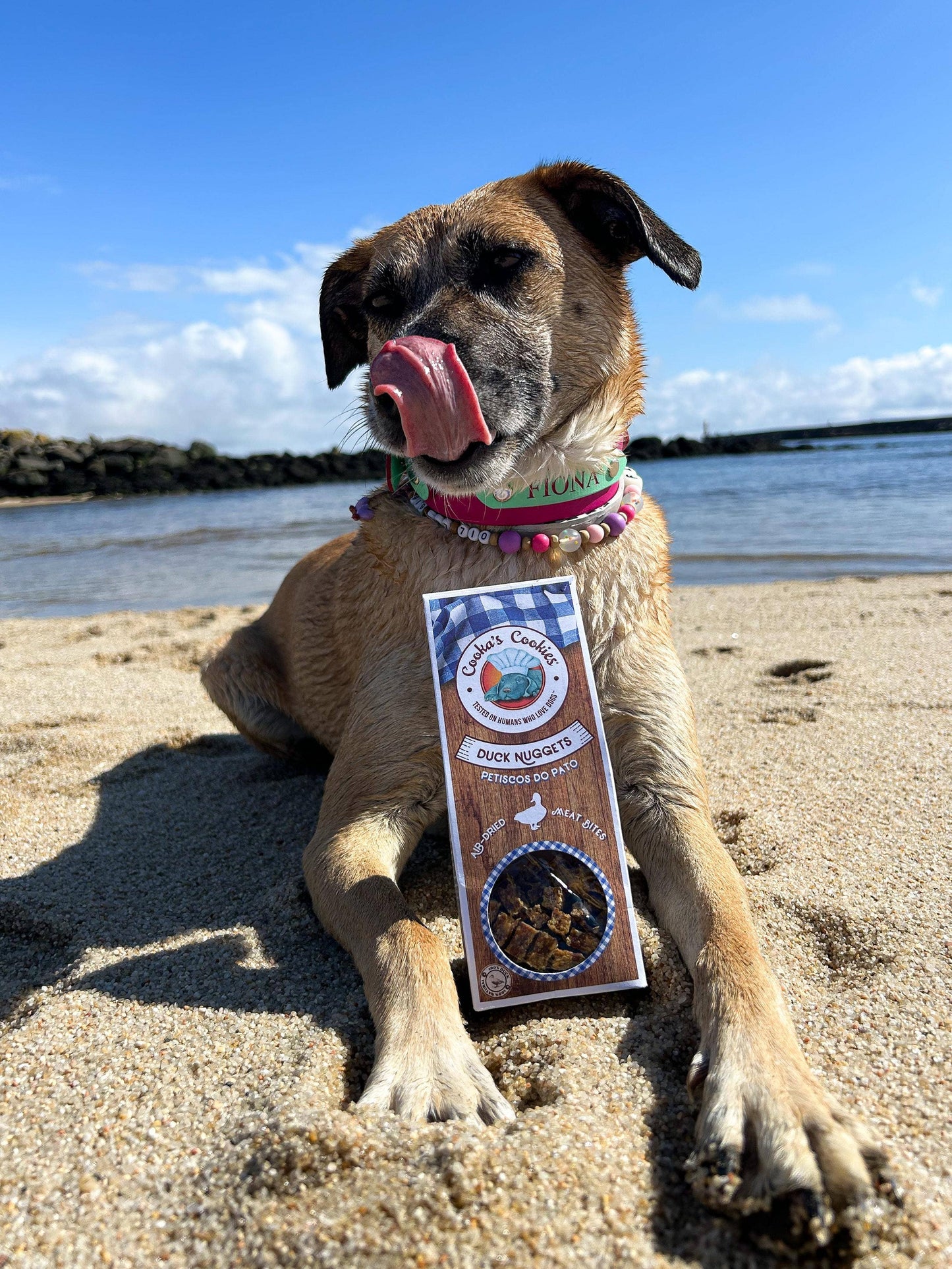 Duck Nuggets - Luftgetrocknete Fleischbissen