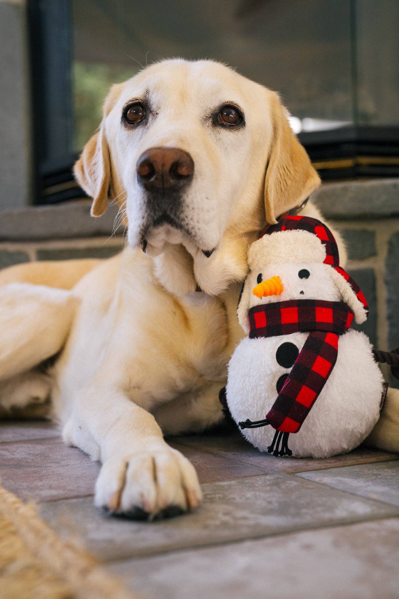 Hundespielzeug "Home for the Holidays" – Schneemann