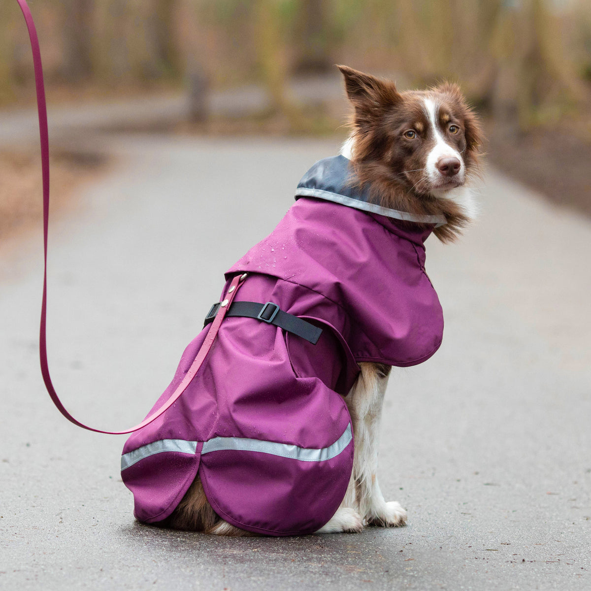 Dog Sweater 'Perus Pomppa' - Graphite