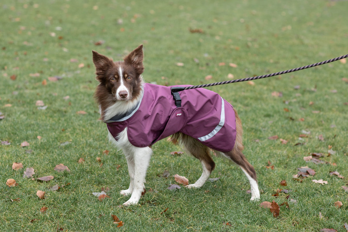 Dog Sweater 'Perus Pomppa' - Graphite