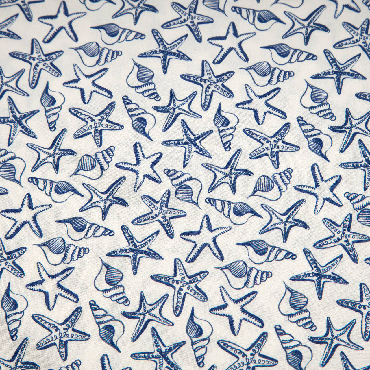 Bandana Sea Stars