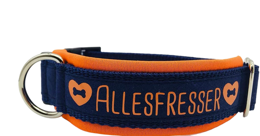 Halsband Allesfresser orange/dunkelblau