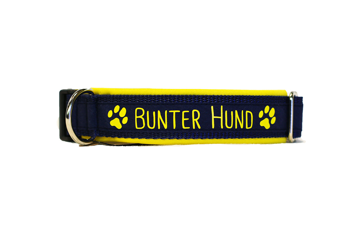Halsband Bunter Hund gelb/dunkelblau