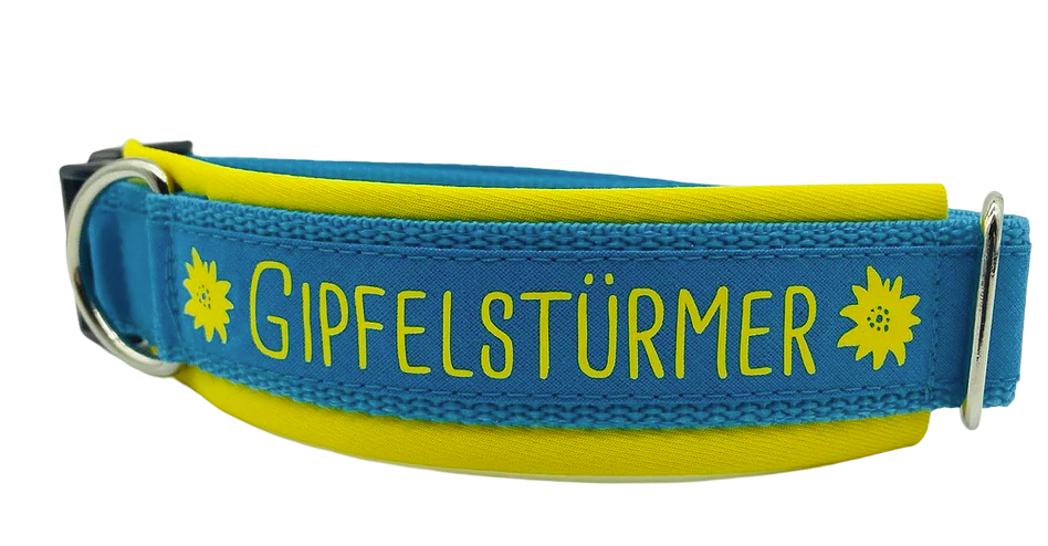 Halsband Gipfelstürmer gelb/türkis