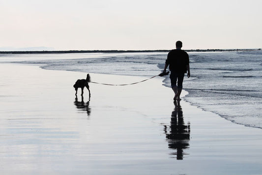 Die schönsten Ferienorte für Hund & Herrchen