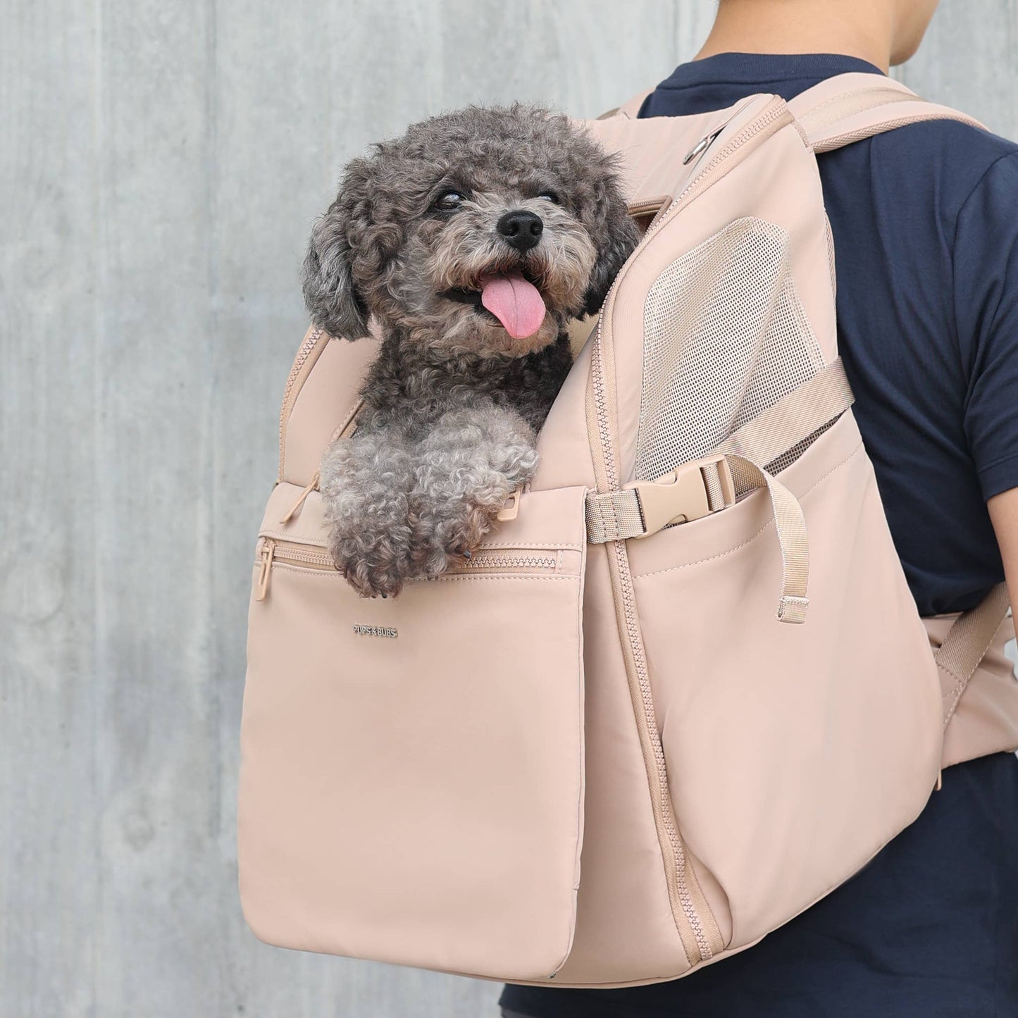 Backpack for dogs and cats