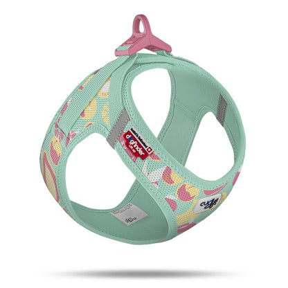 Curli-Geschirr Air Mesh Limited Edition 2026 - Fruits Turquoise