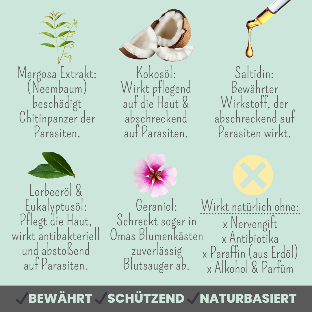 'Zpray' Zeckenspray für Hunde gegen Zecken, Flöhe, Milben & Mücken
