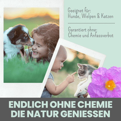 Zistrosen Tabs - natürliches Zistrosen-Leckerli zur Saison