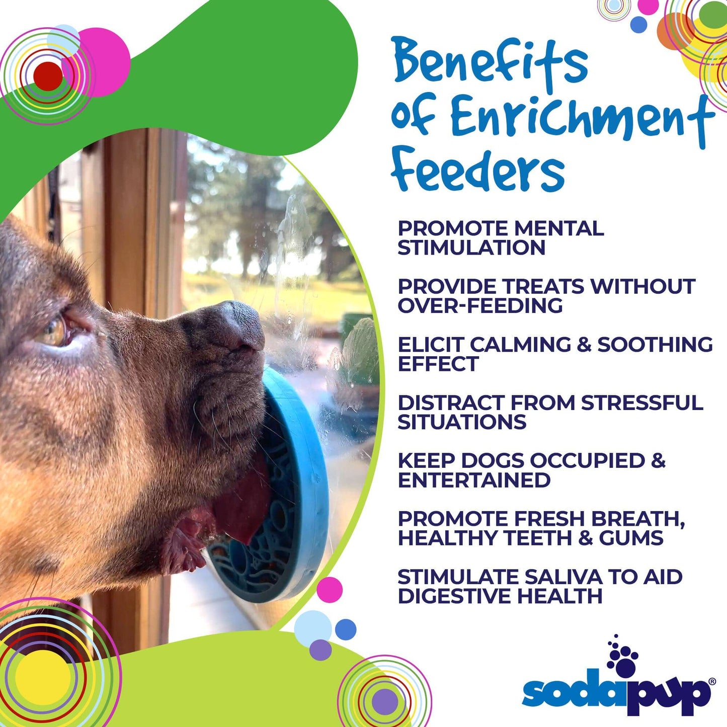 Leckmatte mit Saugnäpfen - Schildkröten