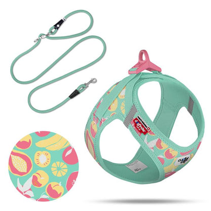 Curli-Geschirr Air Mesh Limited Edition 2026 - Fruits Turquoise