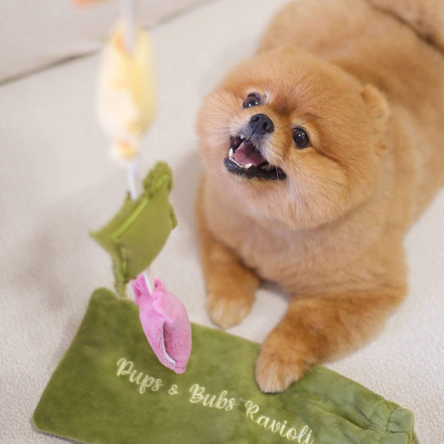 Sniffing toy - Ravioli