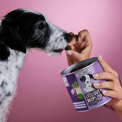 Chillout Drops - Ergänzungs-Snack für Hunde