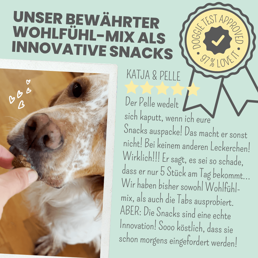 Wohlfühlsnacks für Hunde bei Stress, Angst & Unruhe