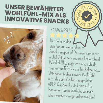 Wohlfühlsnacks für Hunde bei Stress, Angst & Unruhe
