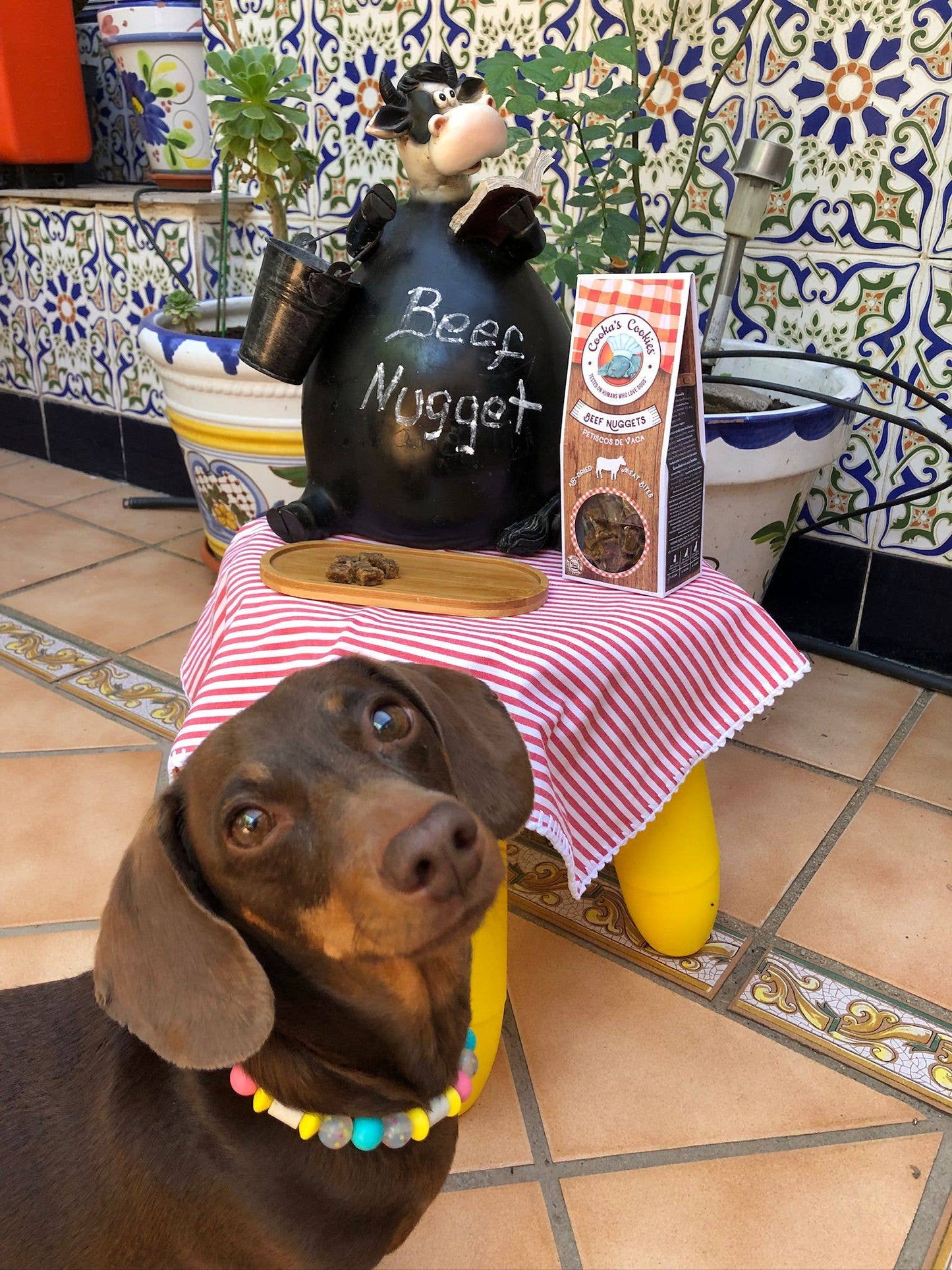 Beef Nuggets - Luftgetrocknete Fleischbissen