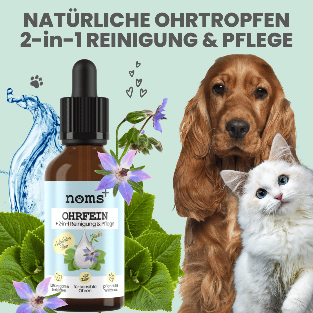 Abbildung 2-in-1 Ohrfein von Noms+ mit Hund und Katze