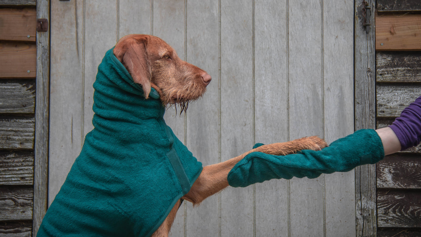 Trockenhandschuhe für Hunde - Moss