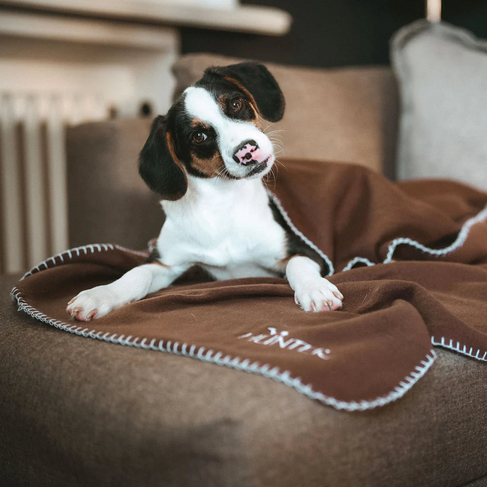 Hundedecke Casper - Braun